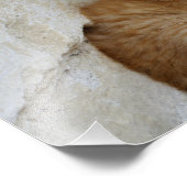 Impression Photo Tabby Tomcat Kitten (Coin)