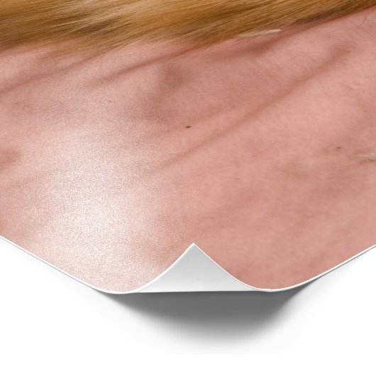 Impression Photo Table orange dormant dans le hamper (Coin)