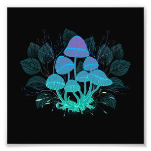 Impression Photo Tabourets dans Bushes