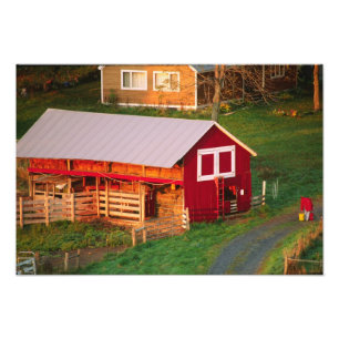 Impression Photo Tâches matinales à la ferme. USA, Vermont,
