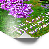 Impression photo (taille exacte) - Lilacs violet H (Coin)