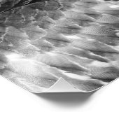Impression Photo Take Flight (Coin)