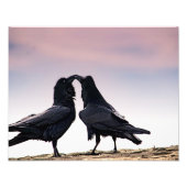 Impression photo Talking Raven (Devant)