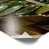 Impression Photo Tamegroute Poterie - Marrakech, Maroc (Coin)