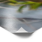 Impression Photo Tanager de l'Ouest (Coin)