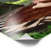 Impression Photo TARZANA's FULL NELSON (Coin)