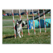 Impression Photo TeeVee (Devant)