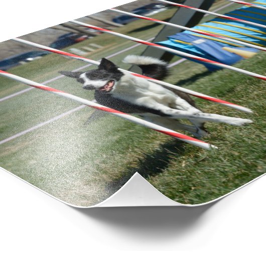 Impression Photo TeeVee (Coin)