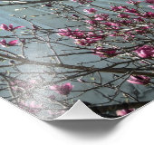 Impression Photo Temple DC en Fleurs roses (Coin)