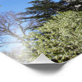 Impression Photo Temple LDS de Salt Lake City 16" X 12" (Coin)