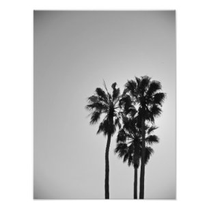 Impression Photo Ténéreux