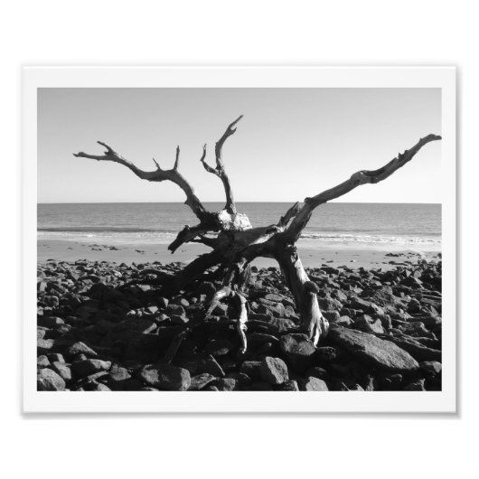 Impression Photo Tentacles (Devant)