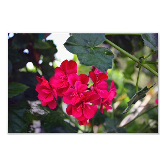 Impression Photo Terrasse de la ville (Devant)