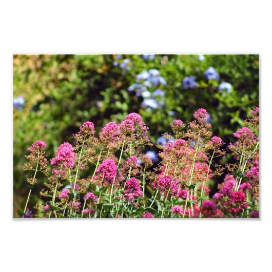 Impression Photo Terrasse de la ville (Devant)