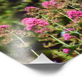 Impression Photo Terrasse de la ville (Coin)