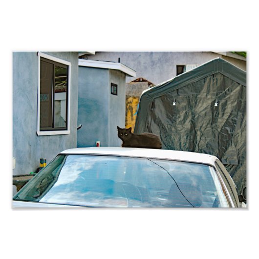 Impression Photo Terrasse de la ville (Devant)