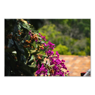 Impression Photo Terrasse de la ville