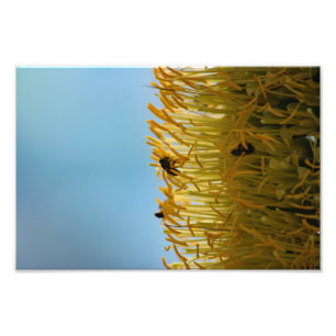 Impression Photo Terrasse de la ville