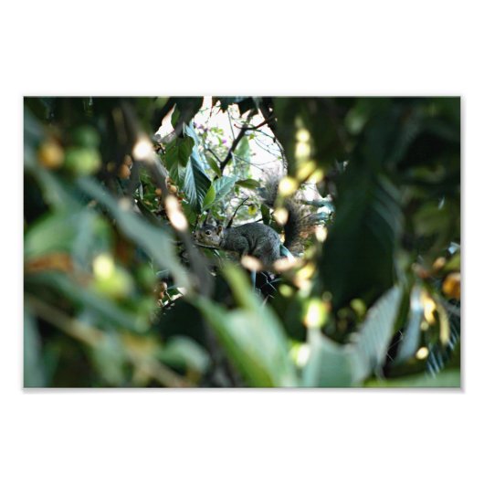 Impression Photo Terrasse de la ville (Devant)