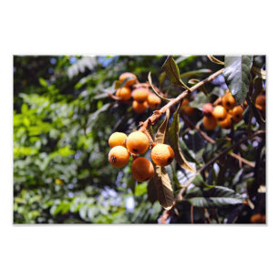 Impression Photo Terrasse de la ville