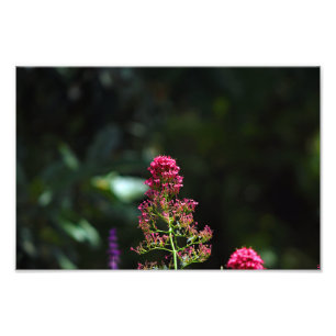 Impression Photo Terrasse de la ville