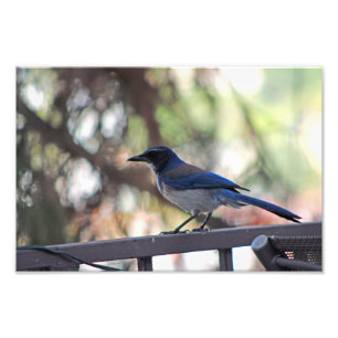 Impression Photo Terrasse de la ville