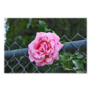 Impression Photo Terrasse de la ville