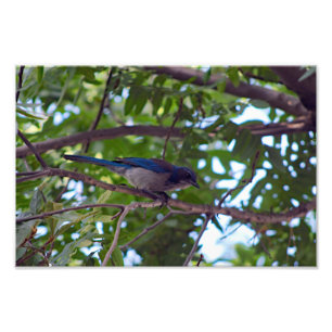 Impression Photo Terrasse de la ville