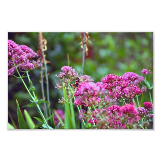 Impression Photo Terrasse de la ville (Devant)