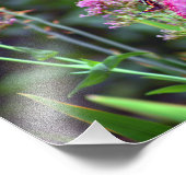 Impression Photo Terrasse de la ville (Coin)