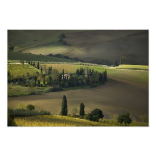 Impression Photo Terres agricoles autour de Montepulciano, Toscane,