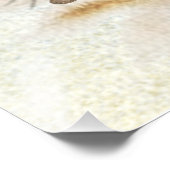 Impression Photo Terrier de chasse allemand (Jagdterrier) (Coin)