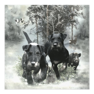 Impression Photo Terrier de chasse allemand, Le Jagdterrier, Art