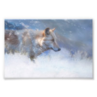 TERRITOIRE DU LOUP HIVER