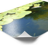 Impression Photo Têtards (Coin)