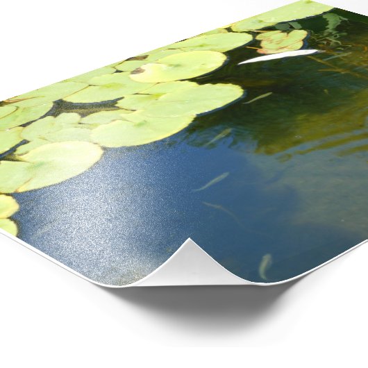 Impression Photo Têtards (Coin)