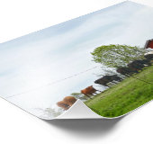 Impression Photo Texas Cattle et Old Red Grange (Coin)