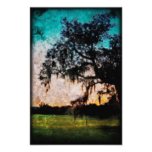 Impression Photo Textures de coucher du soleil d'Audubon