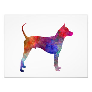 Impression Photo Thai Ridgeback Dog in watercolor