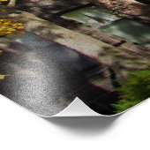 Impression Photo "The F. Scott Fitzgerald House" (Coin)