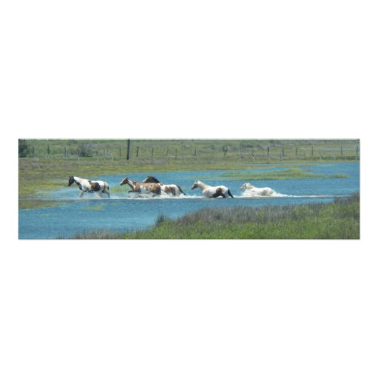 Impression Photo The Herd par Leslie Peppers (Devant)