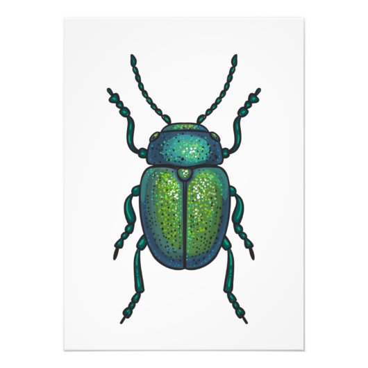 Impression Photo The tansy beetle (Devant)