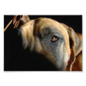 Impression Photo Théorème (Devant)