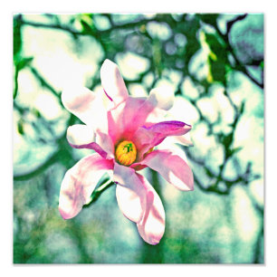 Impression Photo Tiffany Magnolia