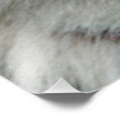 Impression Photo Tiger20151001 (Coin)