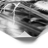 Impression Photo Tiger Cub dans l'herbe (Coin)