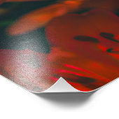 Impression Photo Tiger Lily (Coin)