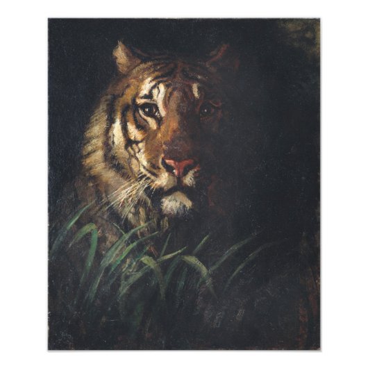 Impression Photo Tiger's Head par Abbott Handerson Thayer (Devant)