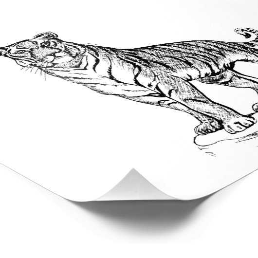 Impression Photo Tigre (Coin)