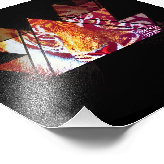 Impression Photo Tigre (Coin)